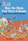 How the Birds Got Their Colours: Tales from the Australian Dreamtime: Band 13/Topaz